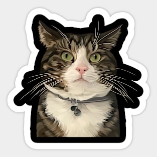 Cute cats and kitten Sticker